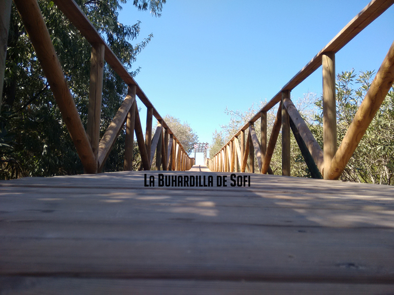 Un paseo puede ser un viaje
