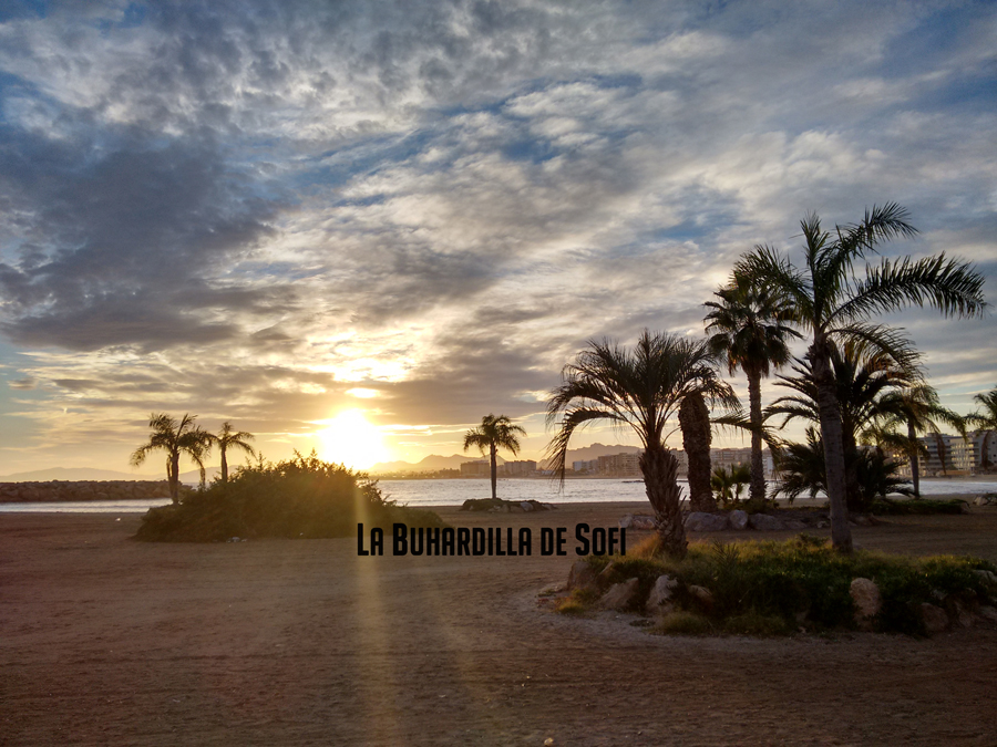 Viaje a Murcia y Granada, enero 2016